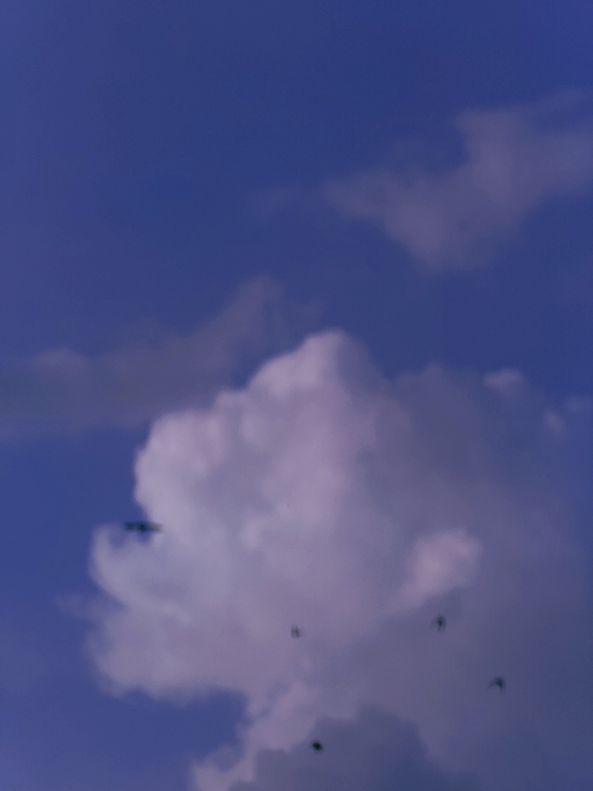 A calm cloud on a deep blue sky, shot on FVLM
